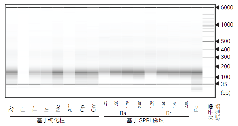 gDNA 样本质控