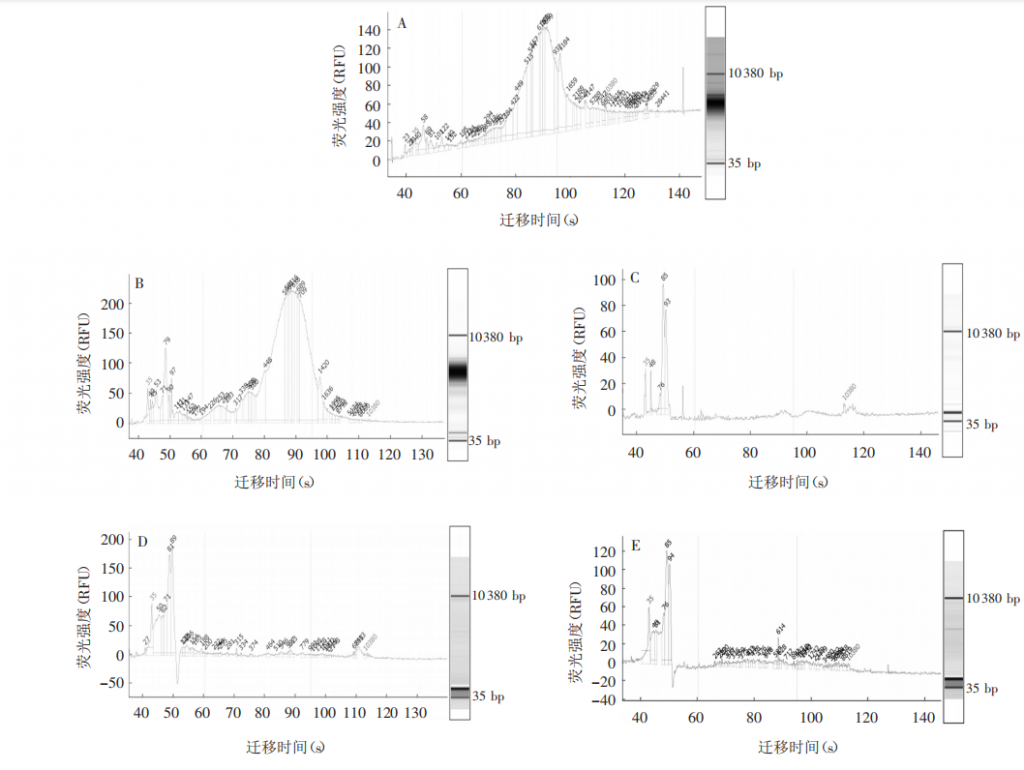 文献解读 | 《宿主细胞残留 DNA 片段大小分布检测方法的建立及验证》